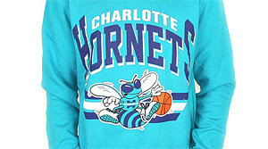 Les Charlotte Hornets bientôt de retour ?