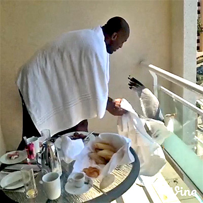 Vidéo : Ali Traoré en galère avec… une mouette