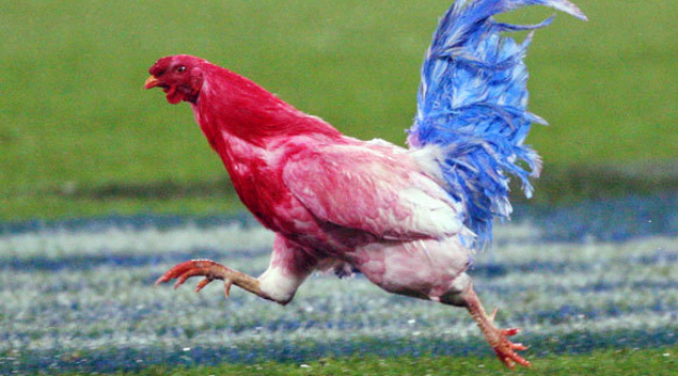 7 raisons de se faire une nuit blanche NBA