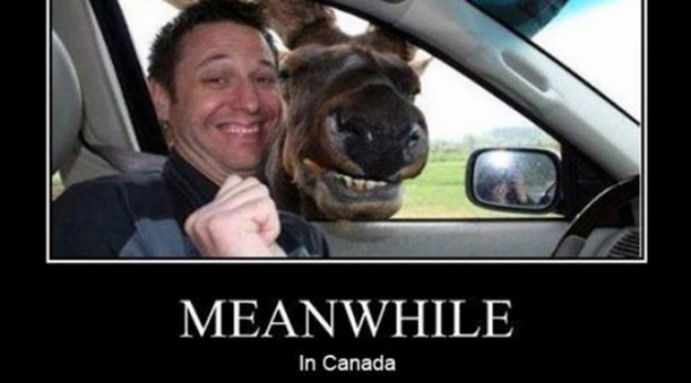 8 raisons de se faire une nuit blanche NBA