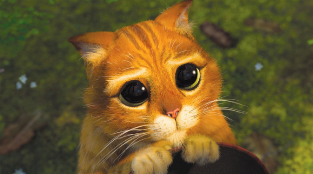 8 raisons de se faire une nuit blanche NBA