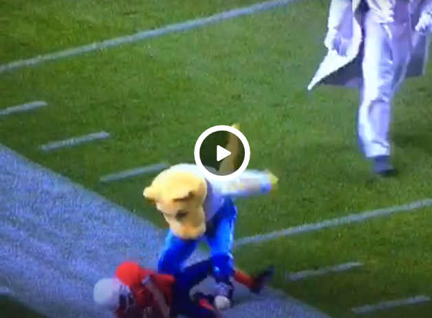 La mascotte des Nuggets est une vraie pourriture !