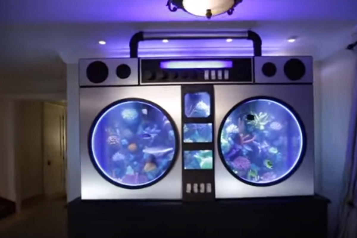 Jimmy Butler a un aquarium qui déchire