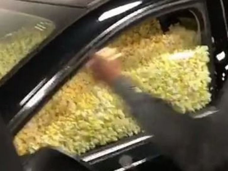 Les Celtics ont piégé la voiture de Jaylen Brown