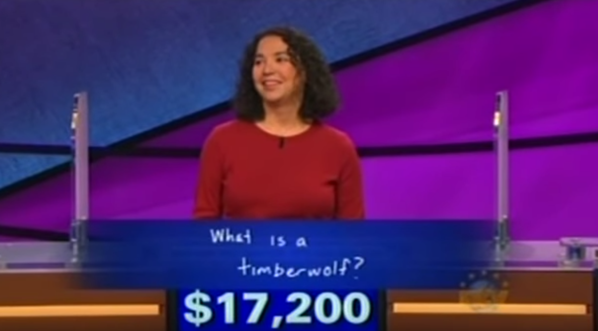 Elle perd 17 000 dollars en confondant Raptors et Timberwolves…