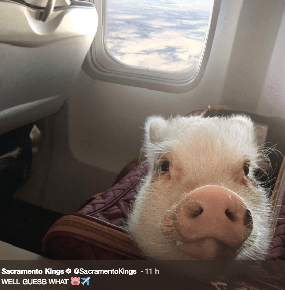 L’énorme chambrage des Kings après la victoire contre Portland