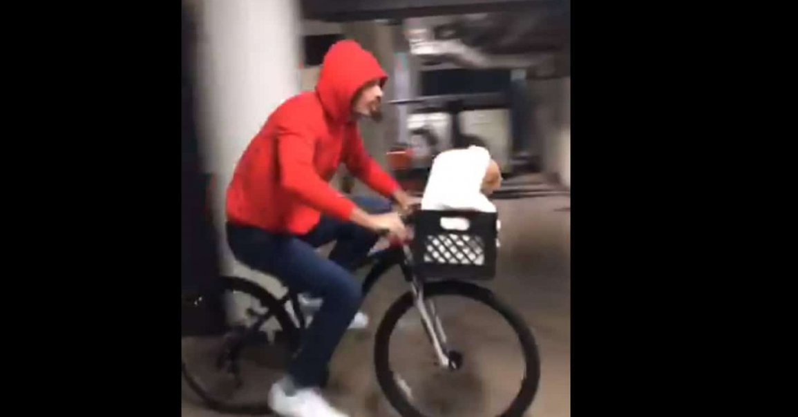 Robin Lopez a tué le game du costume pour Halloween