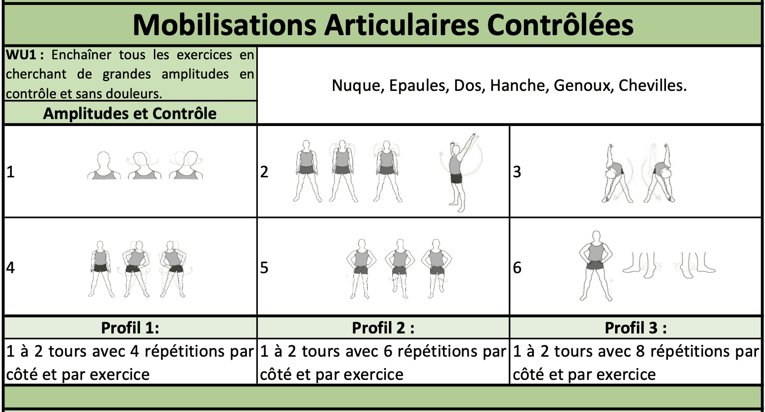 Warm-up - Mobilisations Articulaires Contrôlées - Echauffement