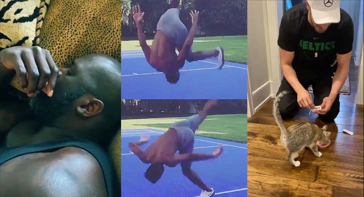 INSIDE : chaton, Barack, Shaq qui pionce et le salto le plus fou de l’année