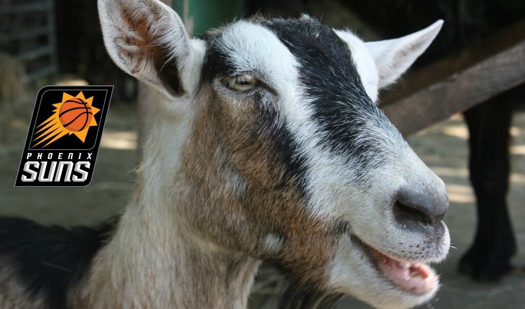 Quand le proprio des Suns motivait le staff avec… des chèvres