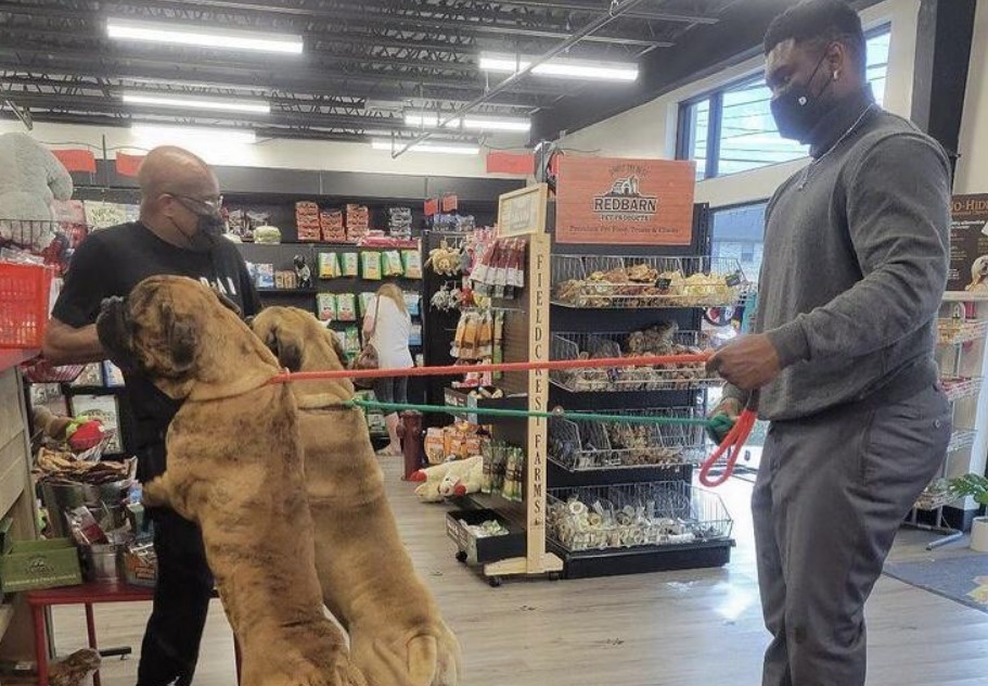 Zion Williamson donne enfin signe de vie à New Orleans