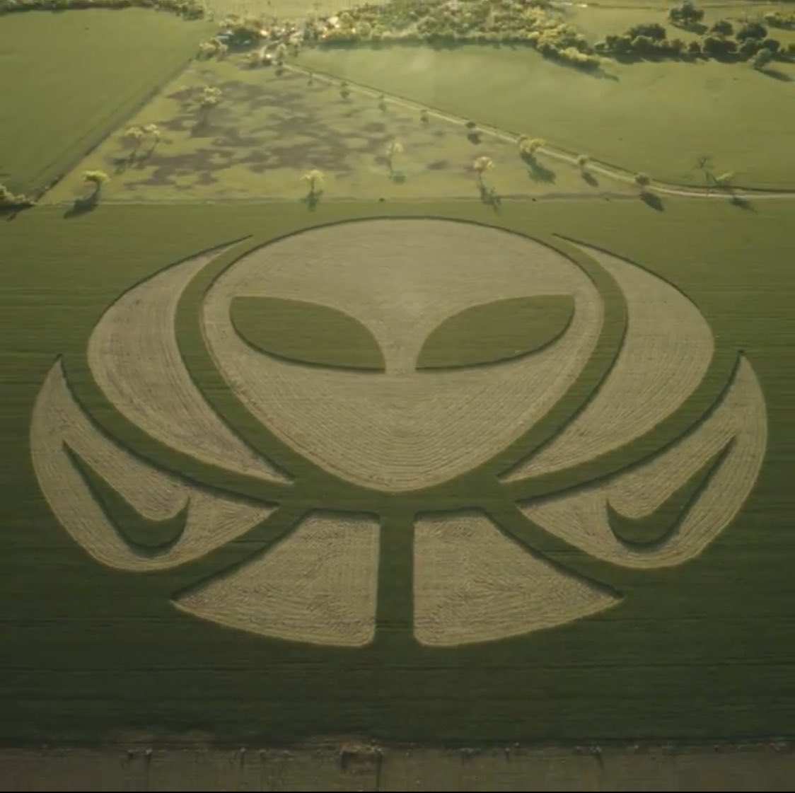 Nike dévoile ce qui devrait être le logo pour Wembanyama, ça envoie !